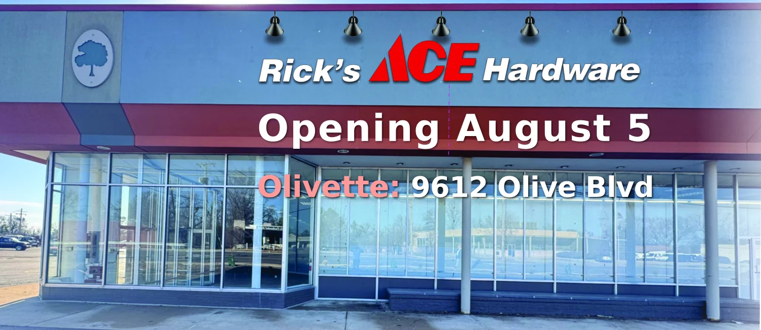 Olivette - Opening August 5